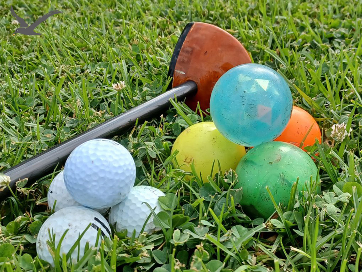 Różnorodność piłek golfowych w parku